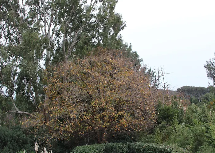 La Bastide Du Bouchou